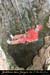 20080308_ad12