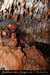 20080308_ad33