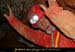 20080308_ad42