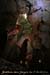 20080308_ad61