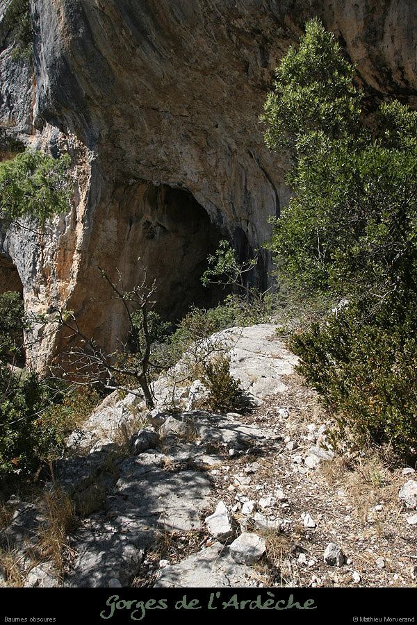 20090728_baumesobscures1