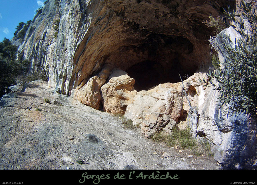 20120215_baumesobscures1