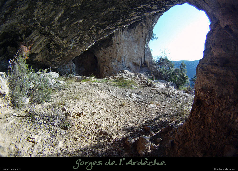 20120215_baumesobscures4