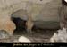 20090411_baumeobscuresin01