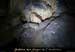 20121104_grottebodine_in12
