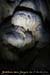 20121104_grottebodine_in14