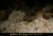 20121104_grottebodine_in17