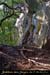 20041030_grottedel'ours_entreesuperieure_5