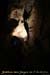 20100722_ours18
