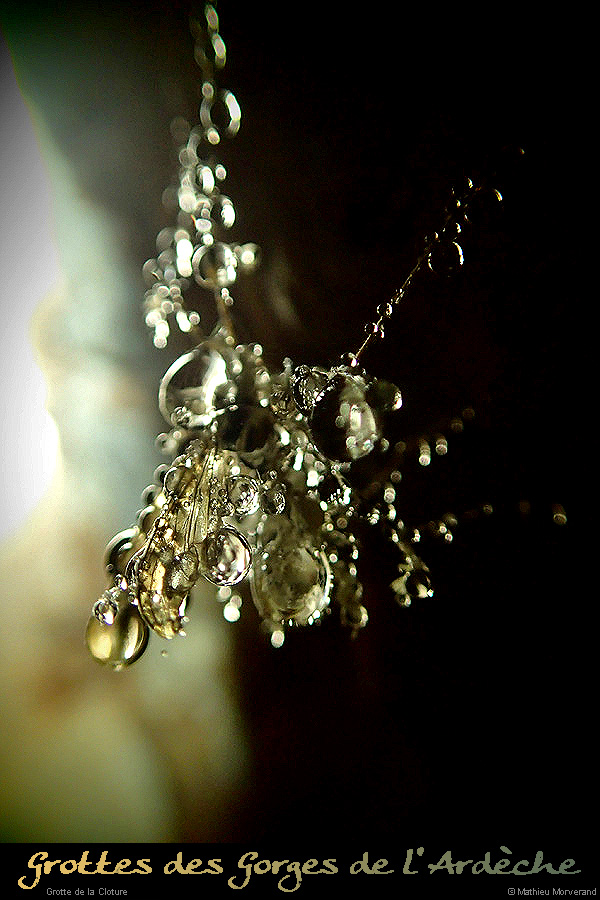 20151226_cloturein12