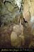 20151226_cloturein08