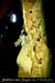 20151226_cloturein09