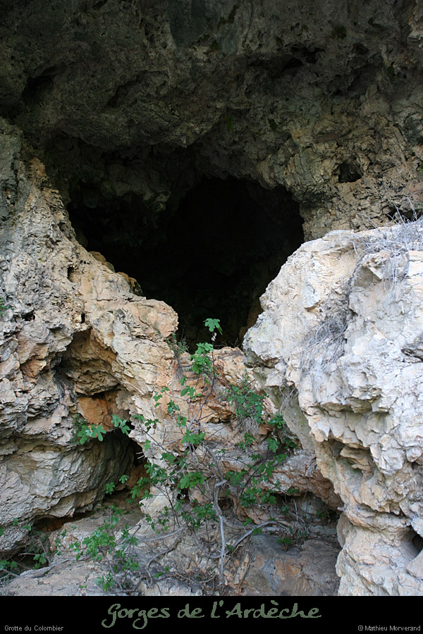 20080508_grottecolombierentree6