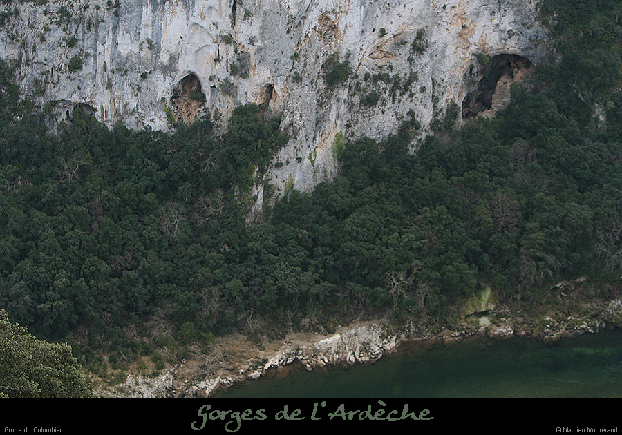 20081228_saleyroncolombier1