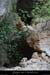 20080508_grottecolombierentree2