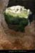 20080508_grottecolombierout10