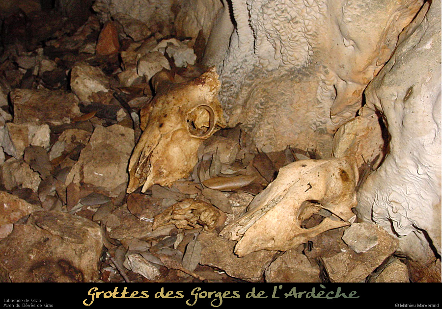20020428_devesdevirac_fond_ossements_1