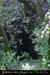 20011103_avendudevesdevirac_02