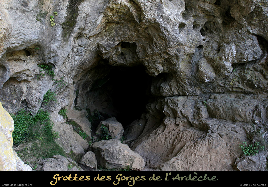 20110427_dragonniere_entree3