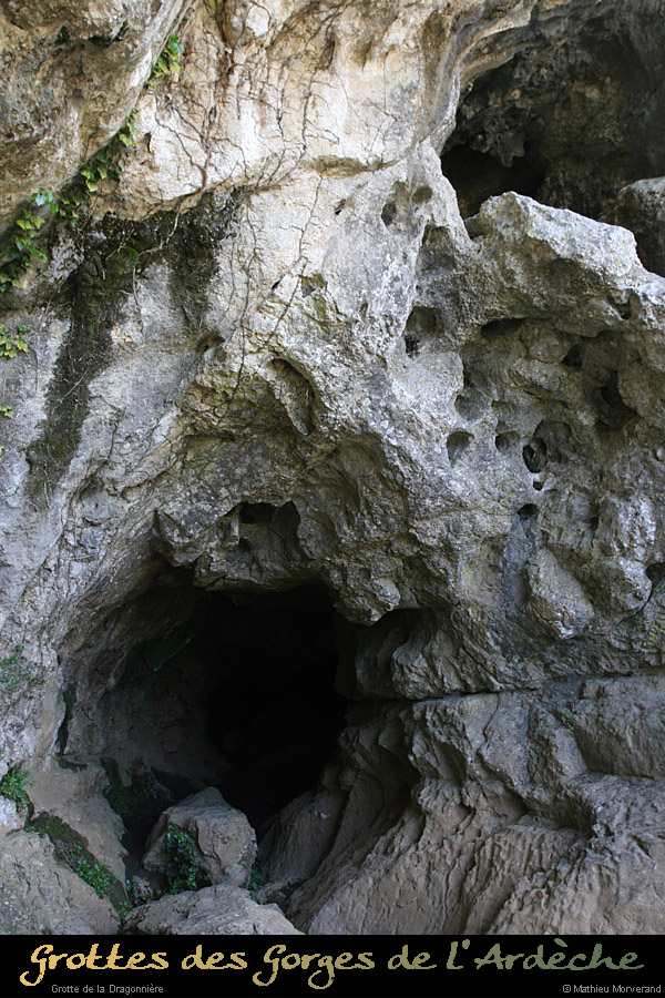 20110427_dragonniere_entree5