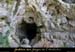 20110427_dragonniere_entree2