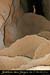 20080302_grotteechelle_gours03