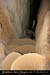 20080302_grotteechelle_gours09