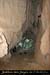 20080813_146gaud
