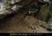 20021116_eventdefoussoubie_11