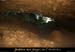 20090730_eventfoussoubie1