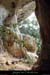 20121102_gorges_baumesgeodan2