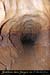 20080920_grotte_maiagar11