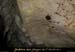 20100404_grottemarguerite_chiropteres1