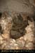 20100404_grottemarguerite_ina12