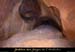 20100404_grottemarguerite_inb15