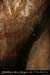20100404_valaurievireint_grotte06