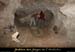 20100404_viresupmarguerite_grotte1in08