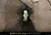 20100404_viresupmarguerite_grotte1in13