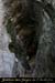 20110205_grottemarguerite_entree3