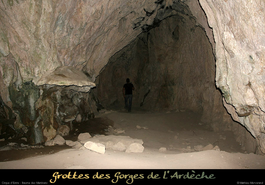 20130103_cirquedestre_baumemartinets_in1