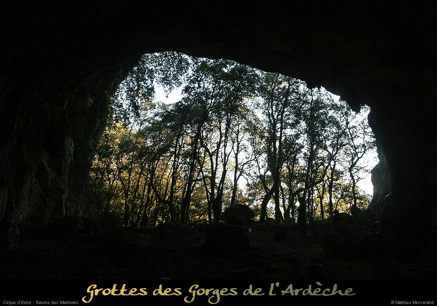 20130103_cirquedestre_baumemartinets_out3
