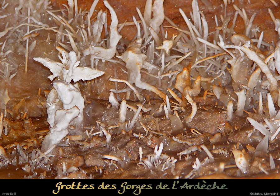 20030129_avennoel_excentriques_3