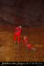 20030129_avennoel_p60_30