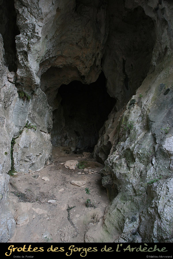20110203_pontiarw2_entree1
