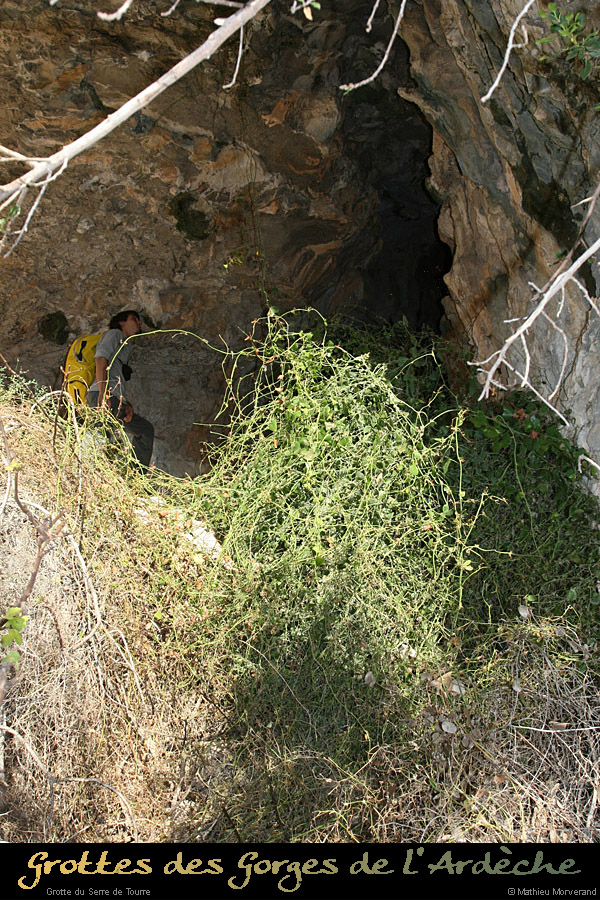 20081201_31