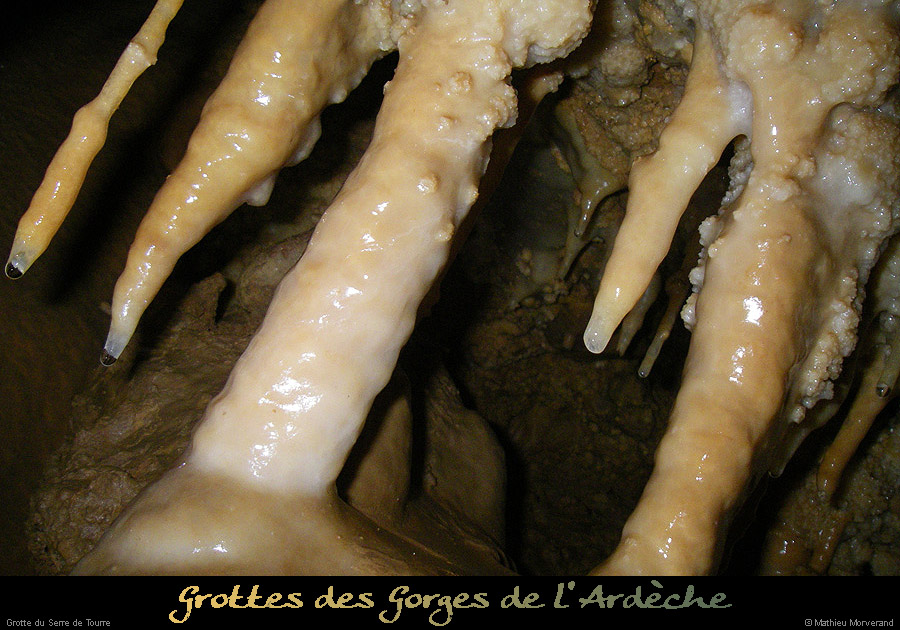 20090117_grotteserredetourre_30