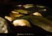 20010522_grottestmarcel_67
