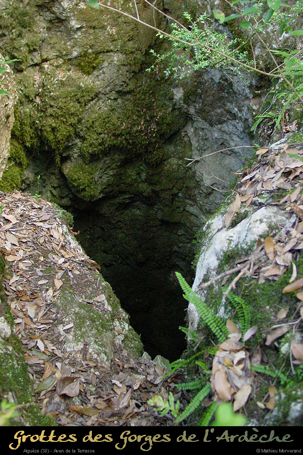 20010901_avendelaterrasse_6