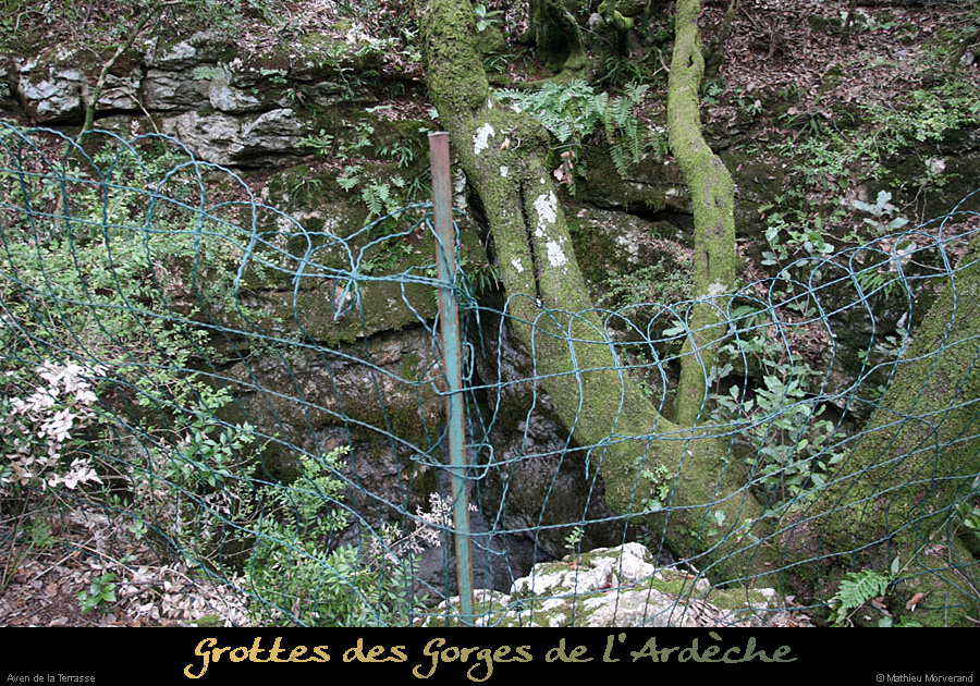 20100204_01