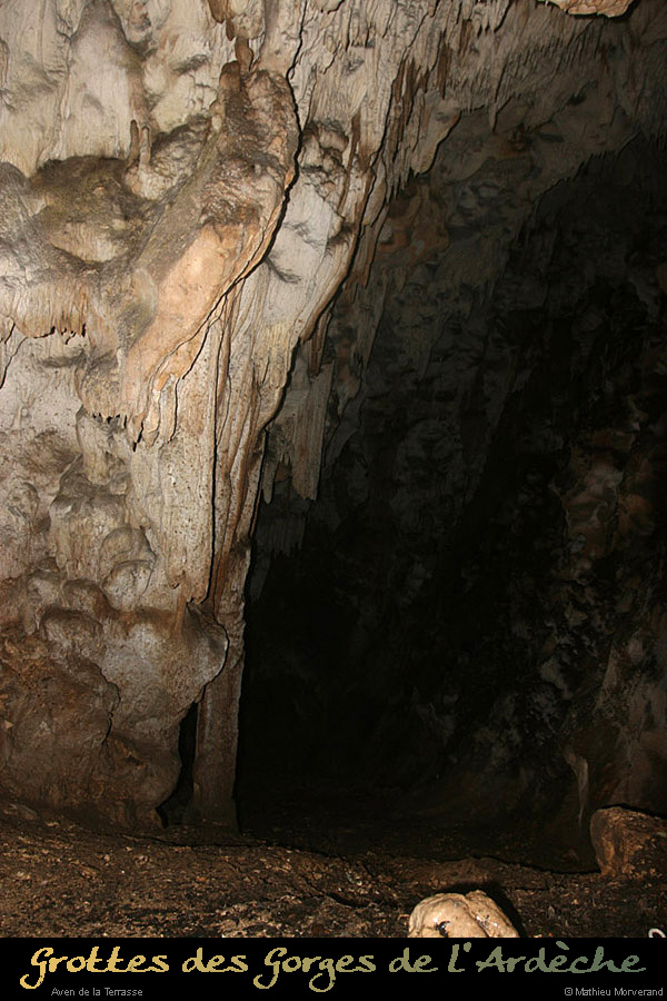 20100204_03